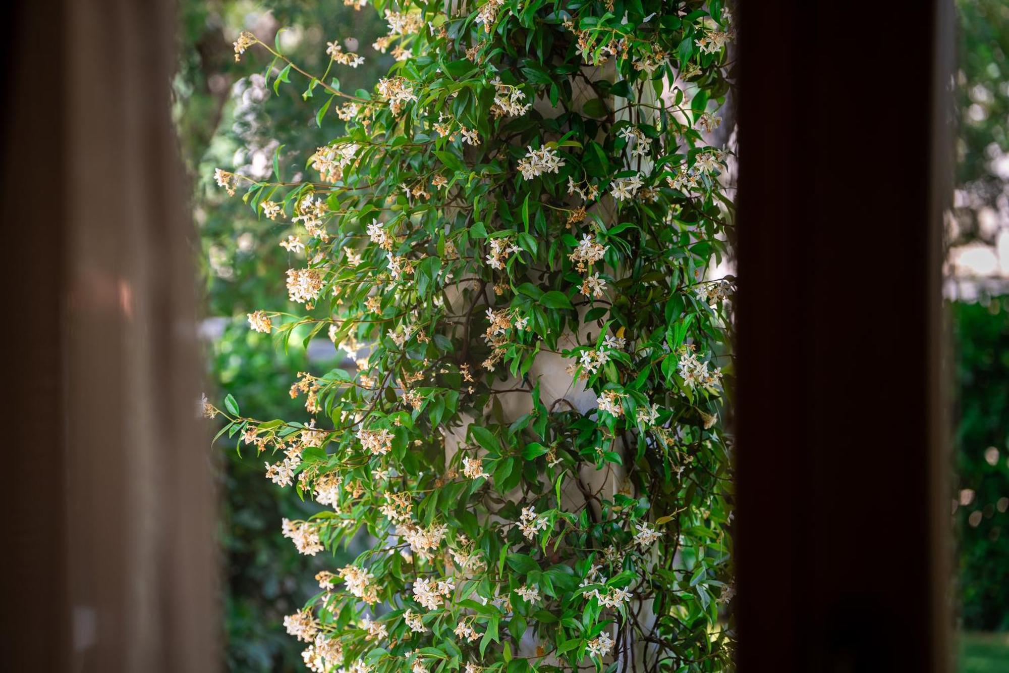 Villa Helena Kotor Extérieur photo
